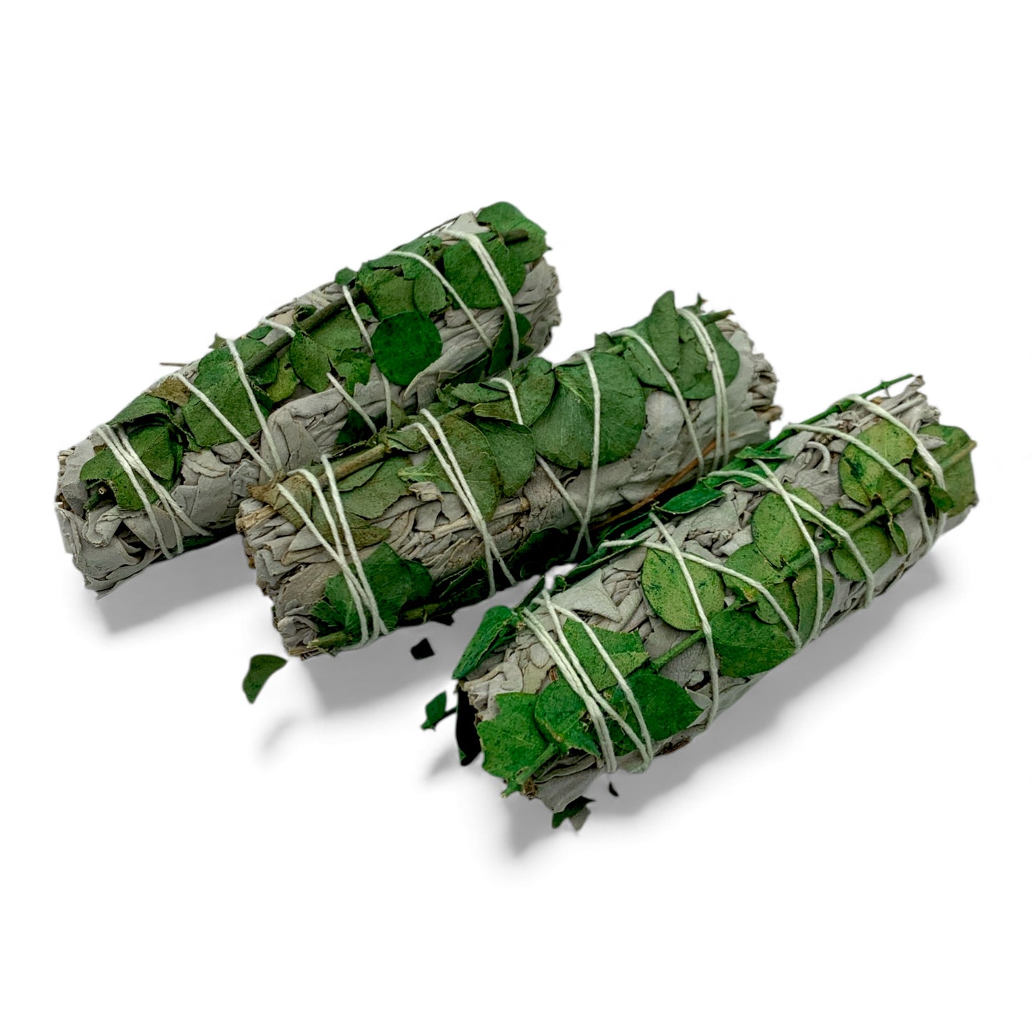 White Sage & Eucalyptus 4" $15