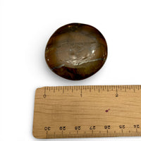 Tiger Iron Palm Stone $15