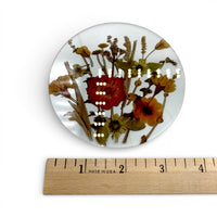 Coaster - Assorted Dried Flowers
