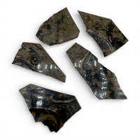 Fossil Stone - Slices
