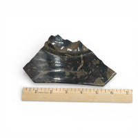 Fossil Stone - Slices