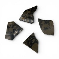 Fossil Stone - Slices