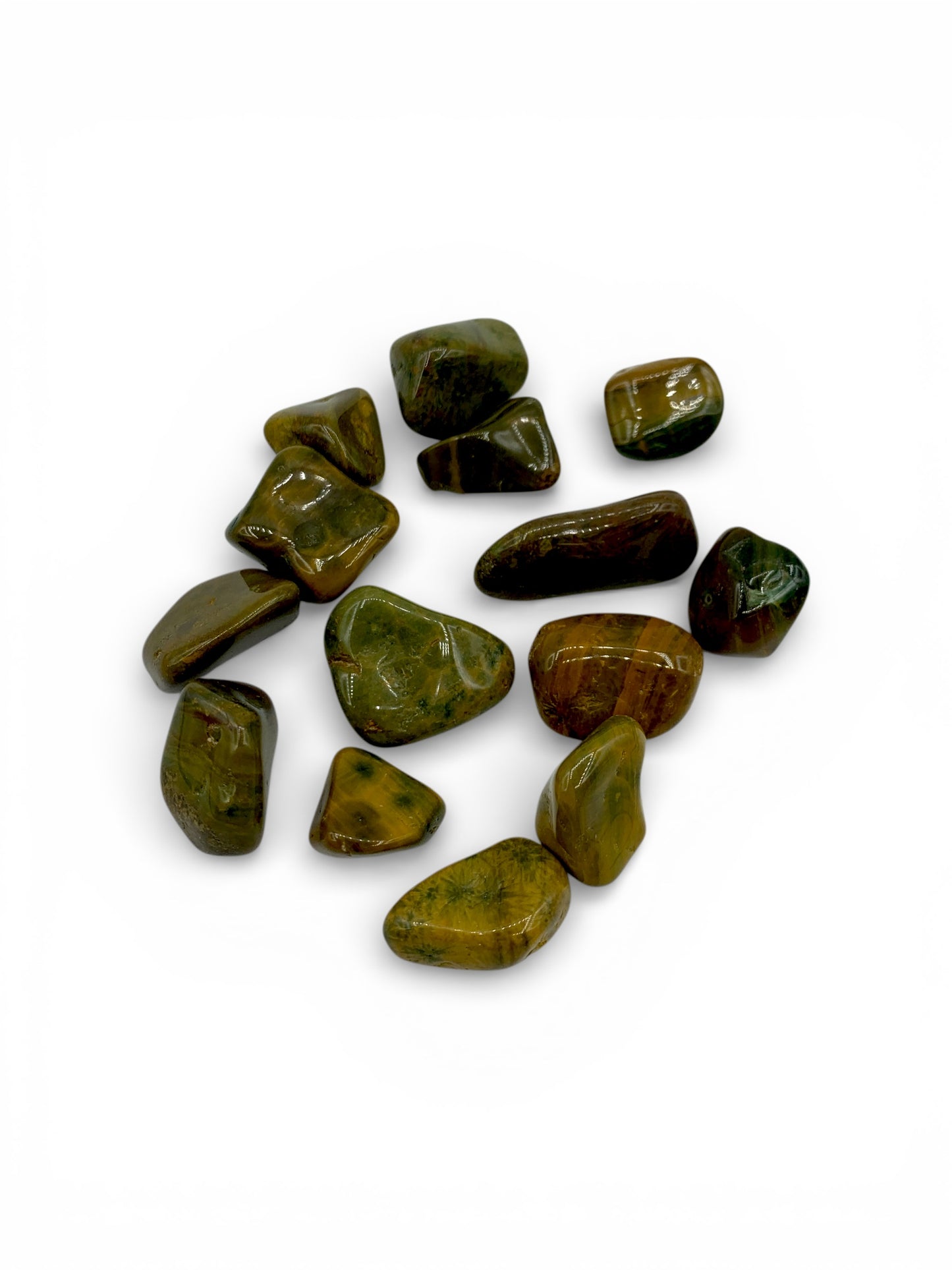 Jasper - Forest Tumble $3