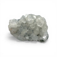 Apophyllite Cluster $350