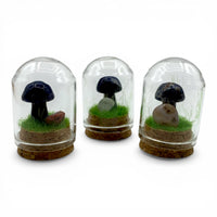 Mini Mushroom Terrarium Assorted Crystals