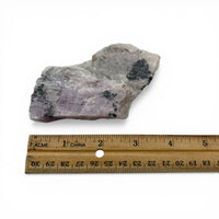 Kunzite - Cassiopeia Kunzite Raw $50