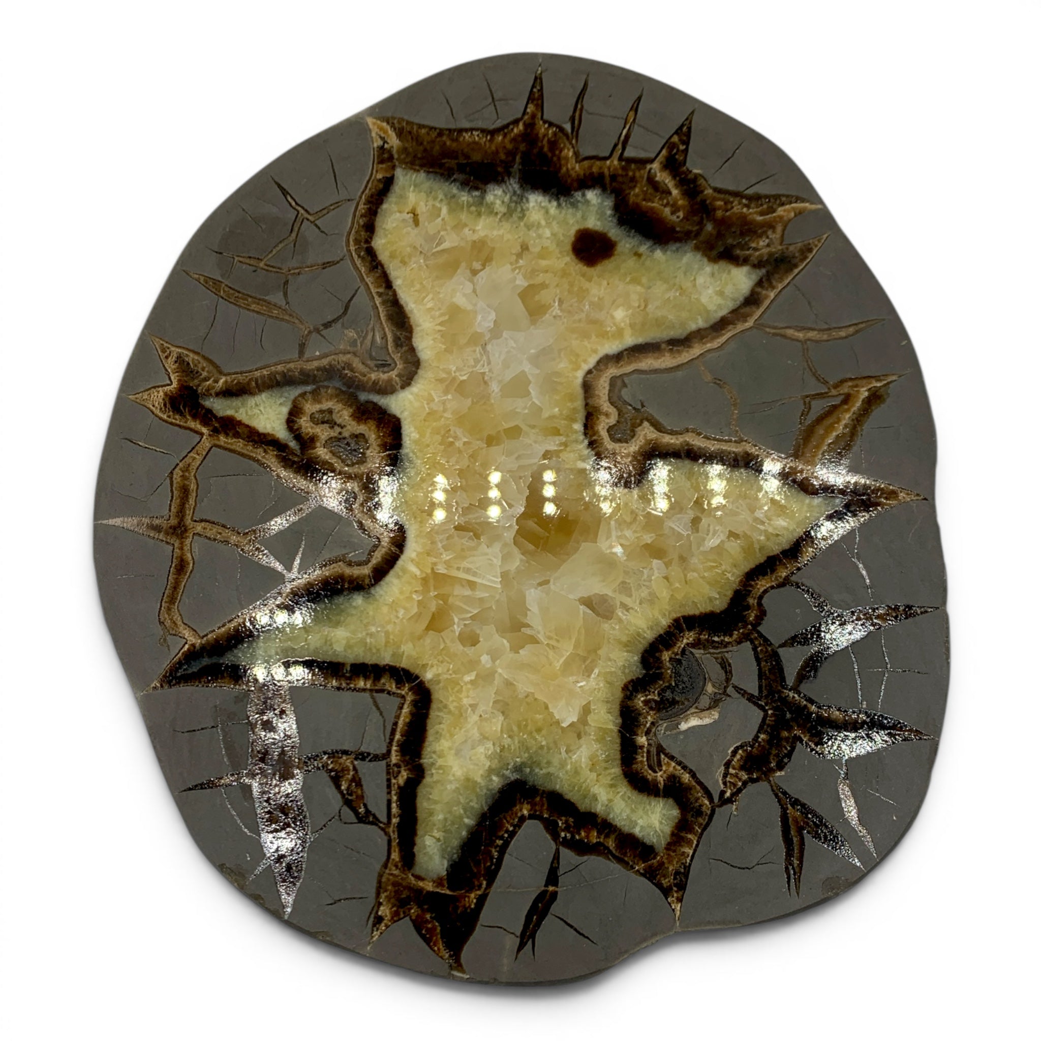 Septarian - Dragon Egg $300