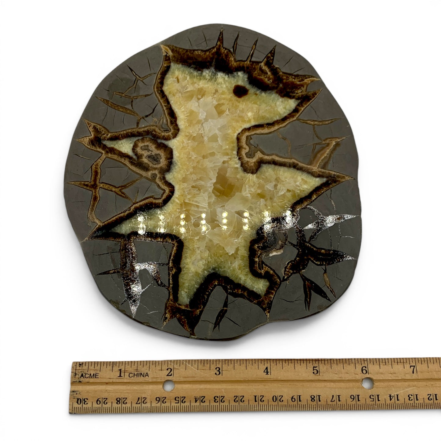 Septarian - Dragon Egg $300
