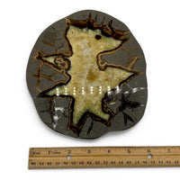 Septarian - Dragon Egg $300