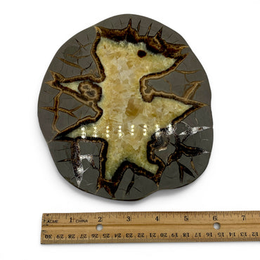 Septarian - Dragon Egg $300
