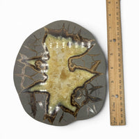 Septarian - Dragon Egg $300