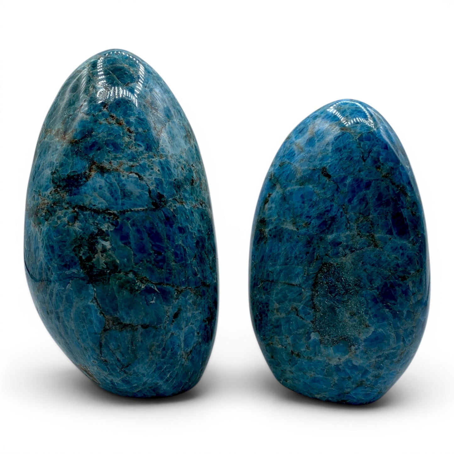 Apatite - Blue Stand $150