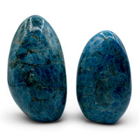 Apatite - Blue Stand $150