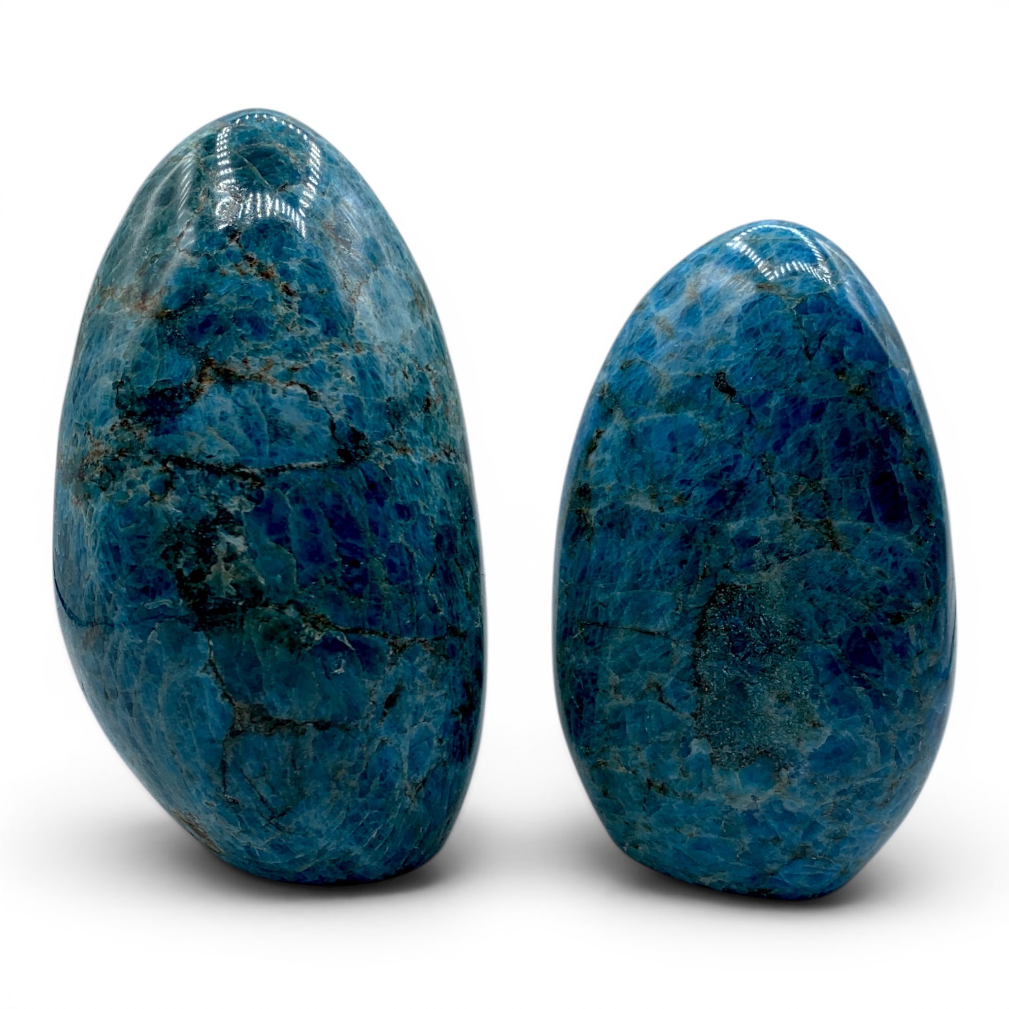 Apatite - Blue Stand $150