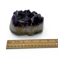 Amethyst Cluster $150