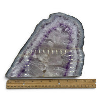 Amethyst Standing Polished Slice $200