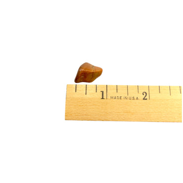 Petrified Wood Tumble Chips $2