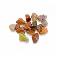 Petrified Wood Tumble Chips $2