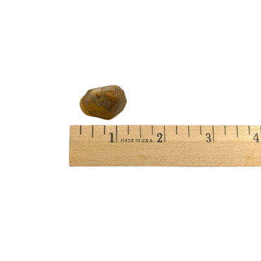 Jasper - Yellow Jasper Light Tumble $3