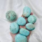 Turquoise - Peruvian Tumble $10