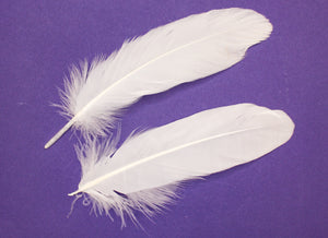 Feather - White (Small)