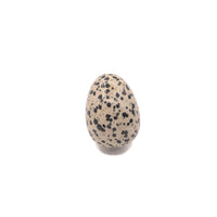 Jasper - Dalmatian Egg $60