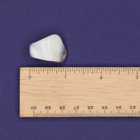 Opal - White Tumble $4