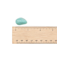 Amazonite Tumble $5