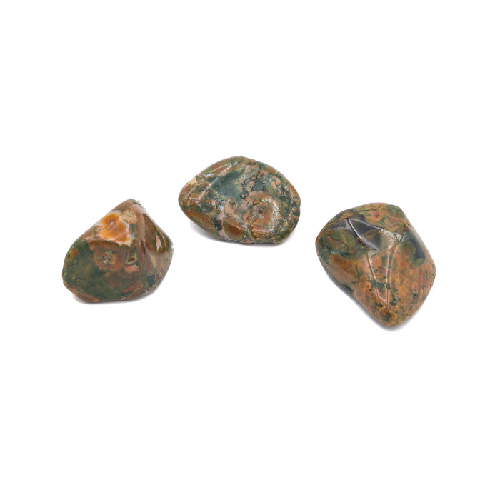 Rhyolite - Rainforest Tumble $4