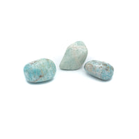 Amazonite Tumble $10