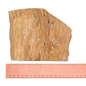 Petrified Wood Stump B $180