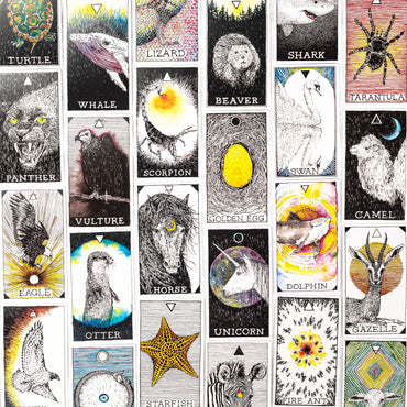 Wild Unknown Animal Spirit Tarot Deck