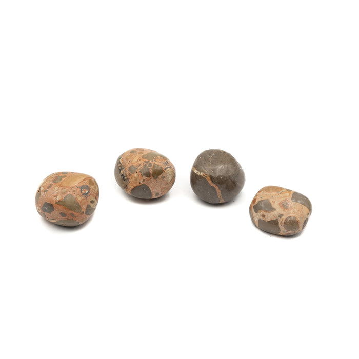 Jasper - Leopard Skin Tumble $12