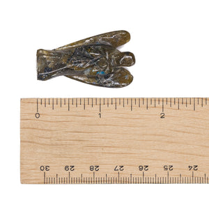 Labradorite - Angel $40