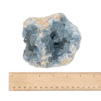 Celestite - Cluster $150