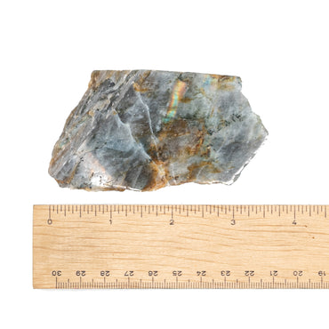 Labradorite Half-Polished Slab $30