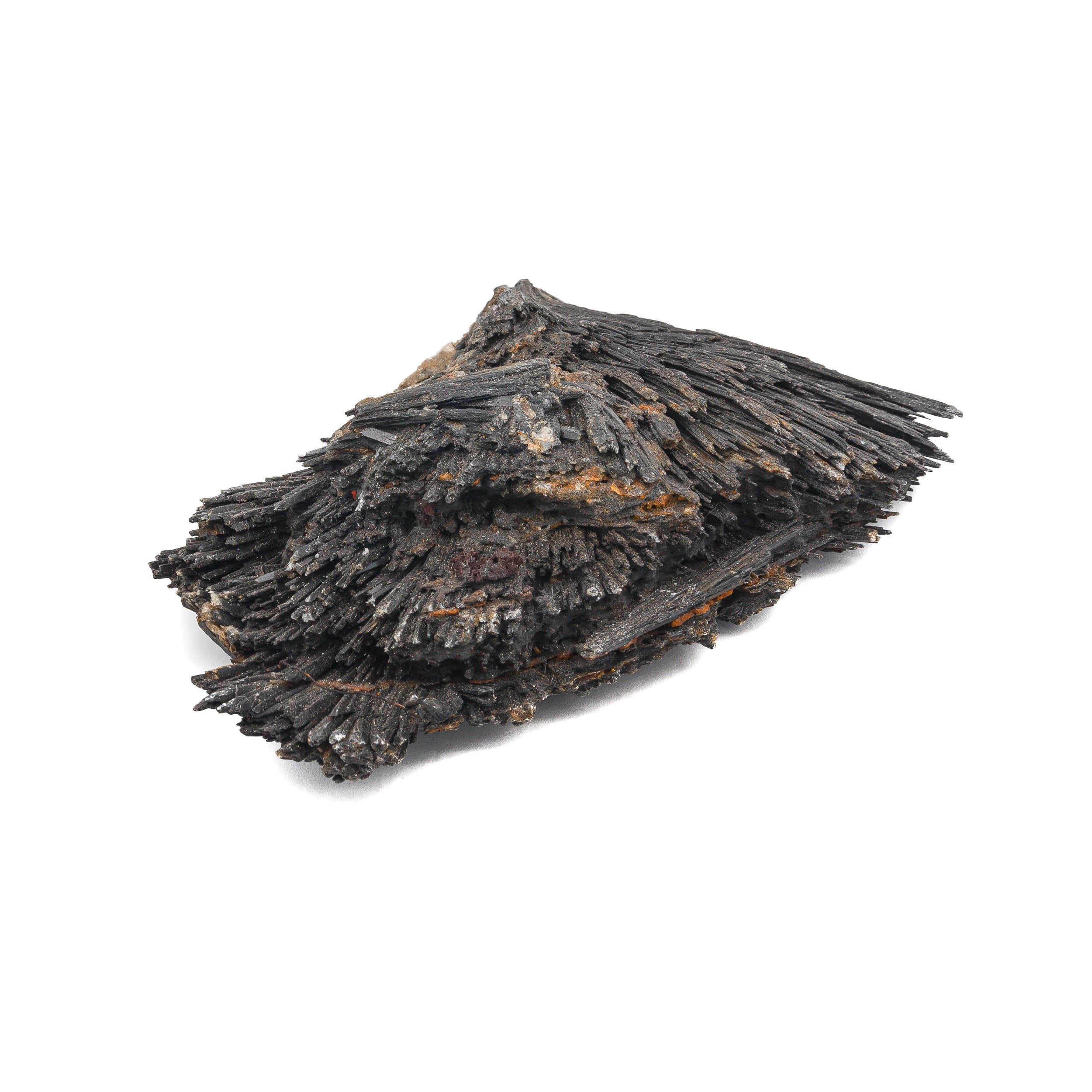 Kyanite - Black Raw $100