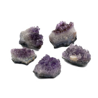 Amethyst Cluster $10