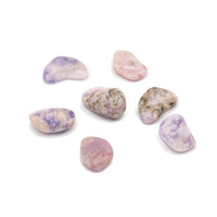 Tanzanite Prairie Tumble $6