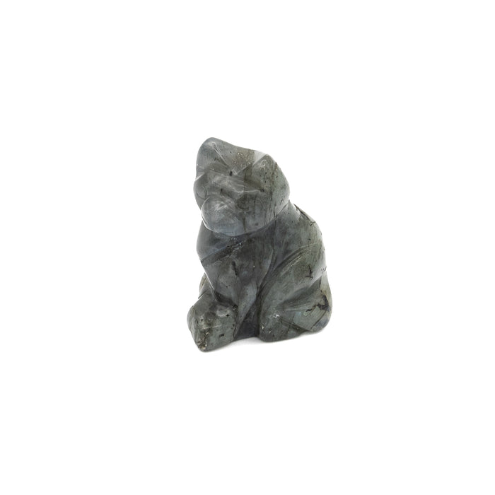 Labradorite - Cat $30