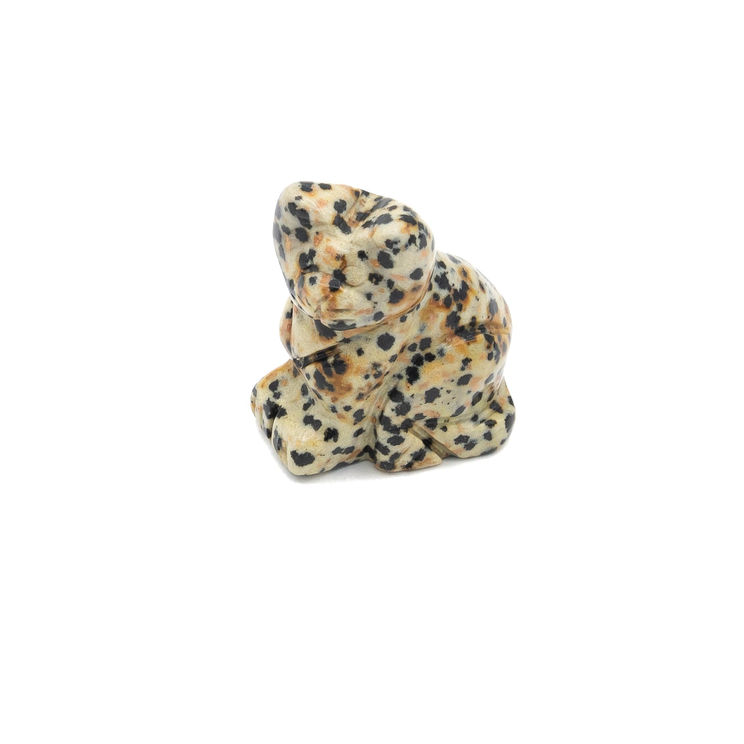 Jasper - Dalmatian Cat $22