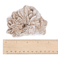 Desert Rose $45