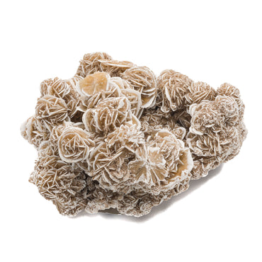 Desert Rose $150