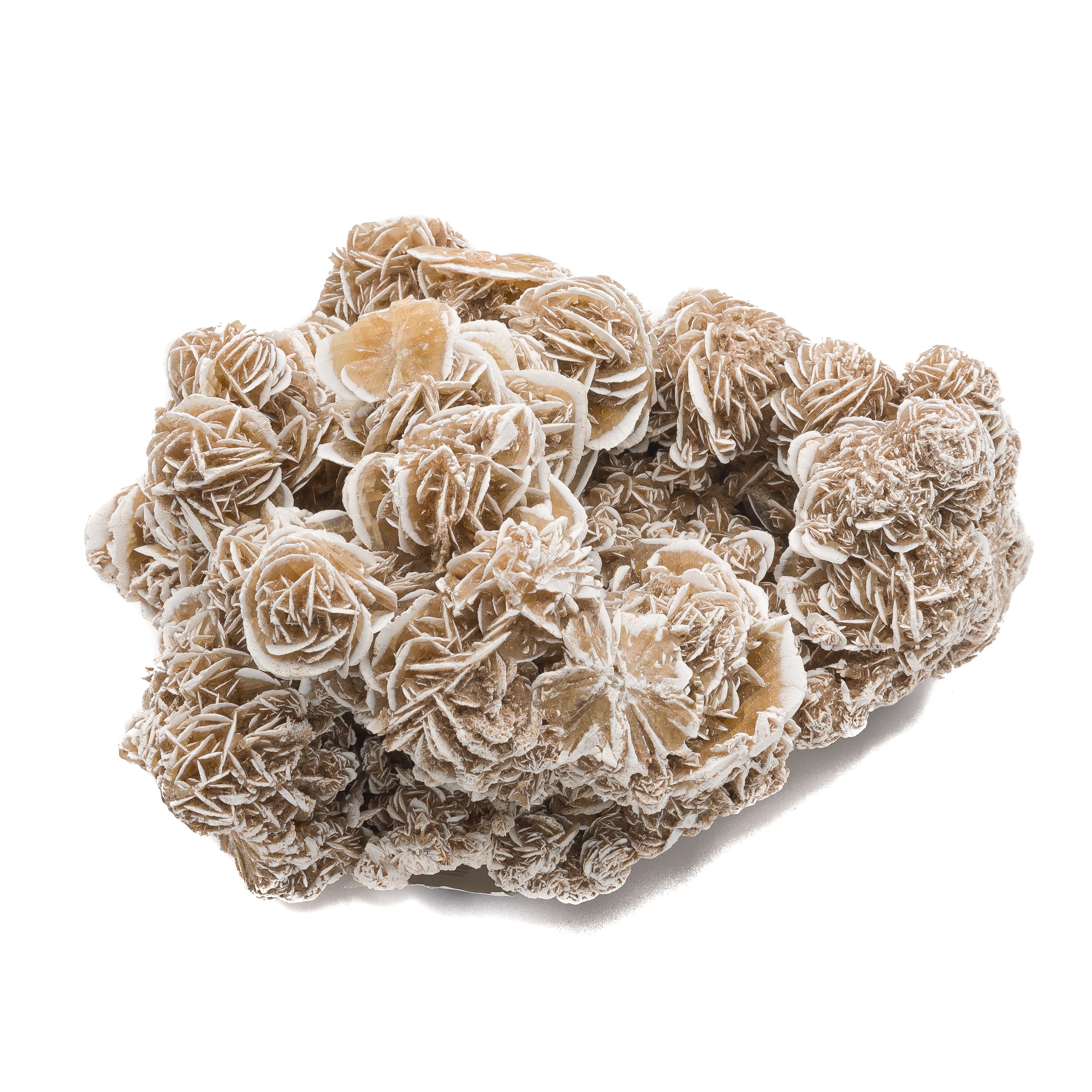 Desert Rose $90