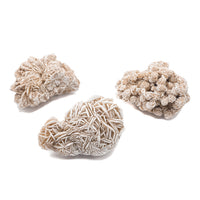 Desert Rose $45