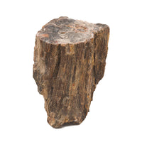 Petrified Wood Stump $300