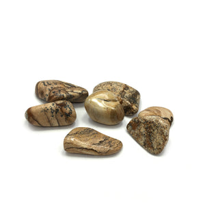 Picture Jasper Tumbled Crystal - Happy Soul Online