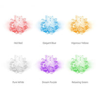 Grow Your Own Crystal Kit