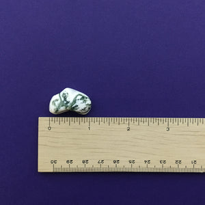 Tree Agate Tumbled Crystal Happy Soul Online