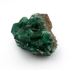 Fluorite - Green Cluster $250